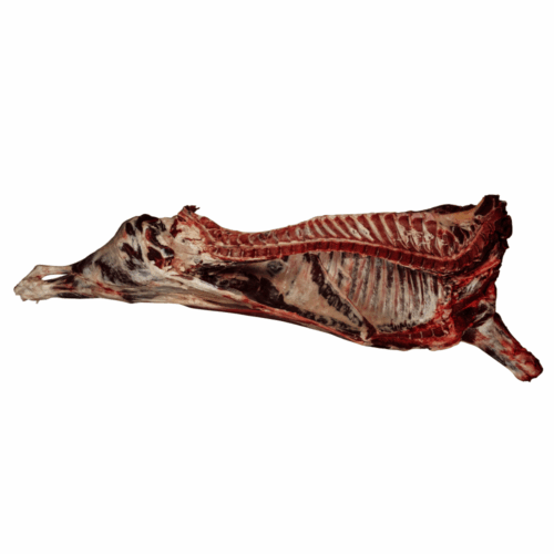 Demi-carcasse de bœuf