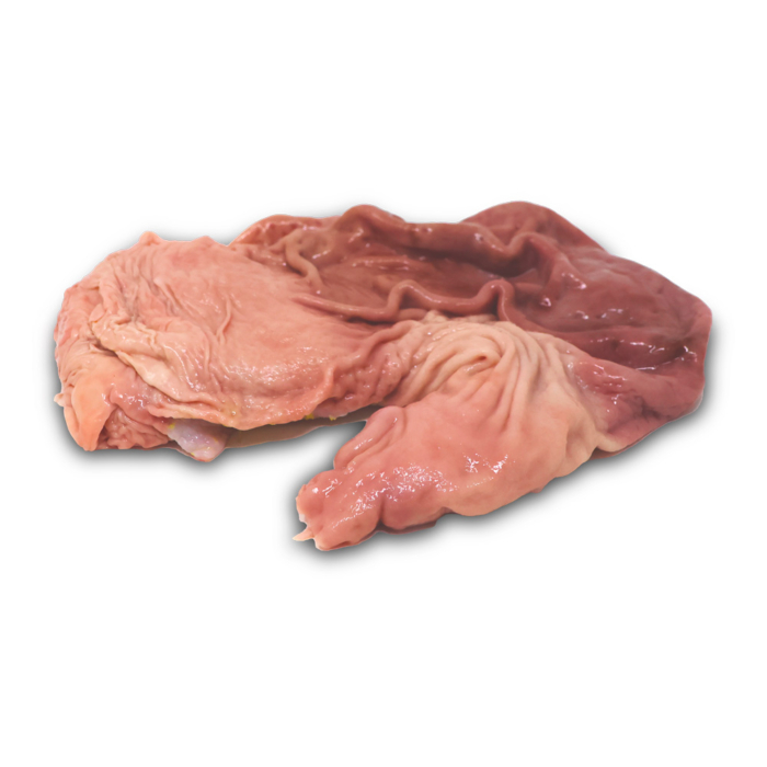 Pork Stomach