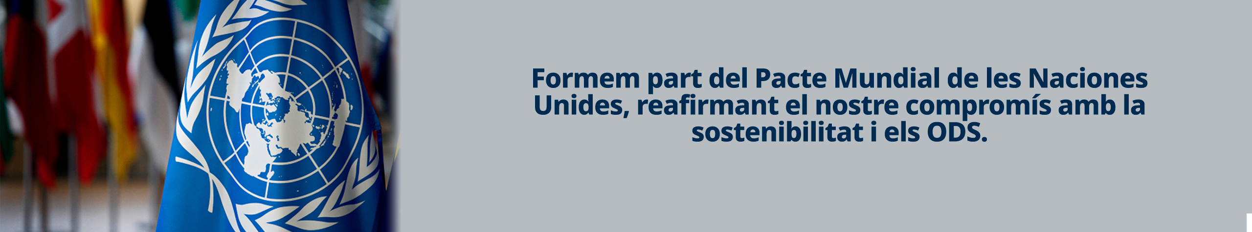 banner_sostenibilidad_ultim_CA