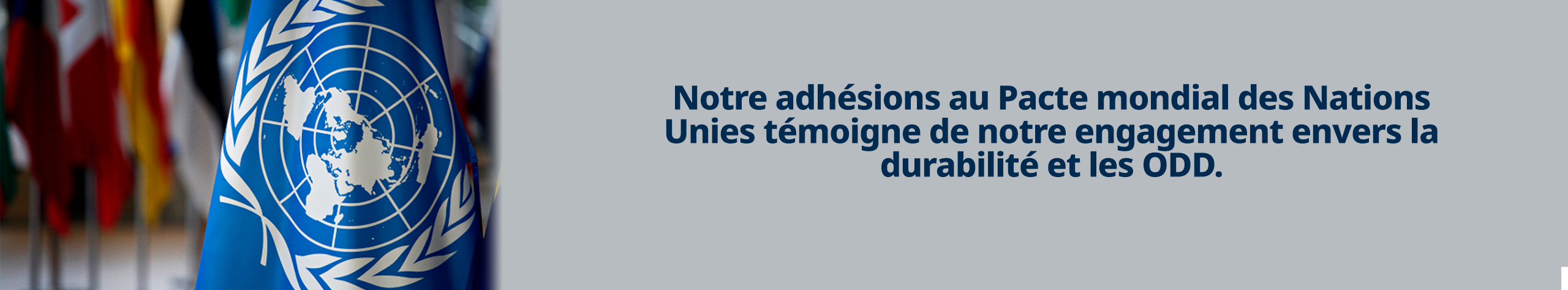 banner_sostenibilidad_ultim_FR