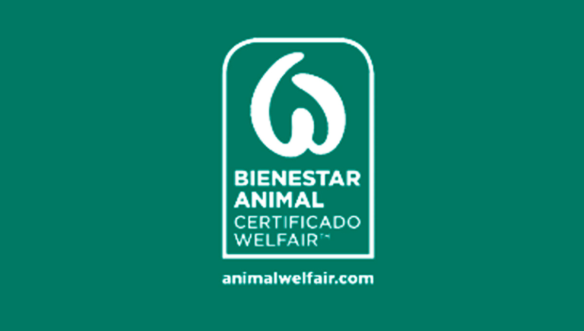 destacados_gobernanza2